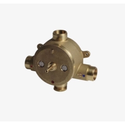 Specialty Products Waterworks: 3/4'' Thermostatic Valve Rough Only